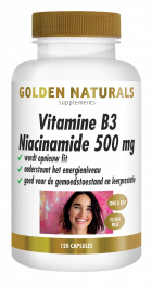 Vitamine B3 Niacinamide 500 mg 120 veganistische capsules